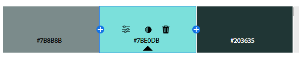 Palette strip with hex values